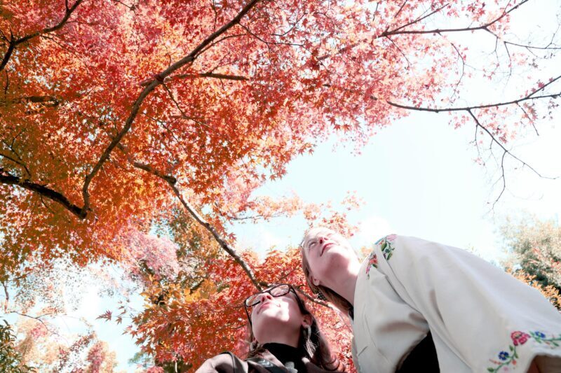 Kyoto: Try Nishijin Weaving in the Oldest Geisha District - The Value of This Tour