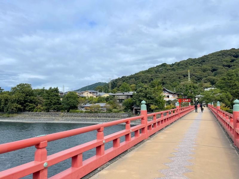 Kyoto Uji Half Day Matcha Green Tea Tour - Should you book it?