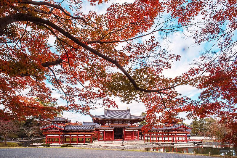 Kyoto Uji Matcha Experience & Nara Private 1-Day Tour - At a glance