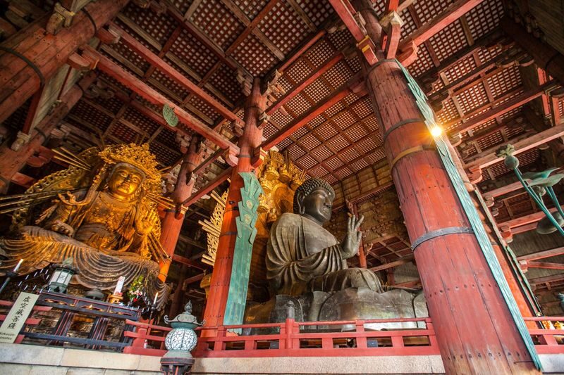 Kyoto Uji Matcha Experience & Nara Private 1-Day Tour - Nara Park and its free-roaming deer