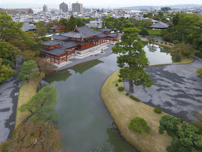 Kyoto Uji Matcha Experience & Nara Private 1-Day Tour - What the private format and price mean