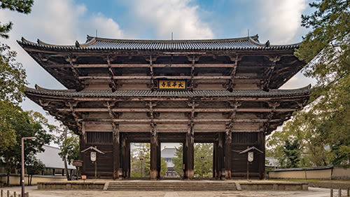 Kyoto Uji Matcha Experience & Nara Private 1-Day Tour - Timing, comfort and what to prepare for