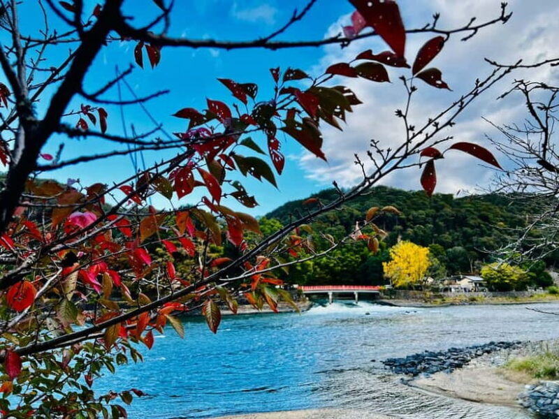 kyoto Uji Private Luxury Car Tour: The Capital of Matcha - Key Points