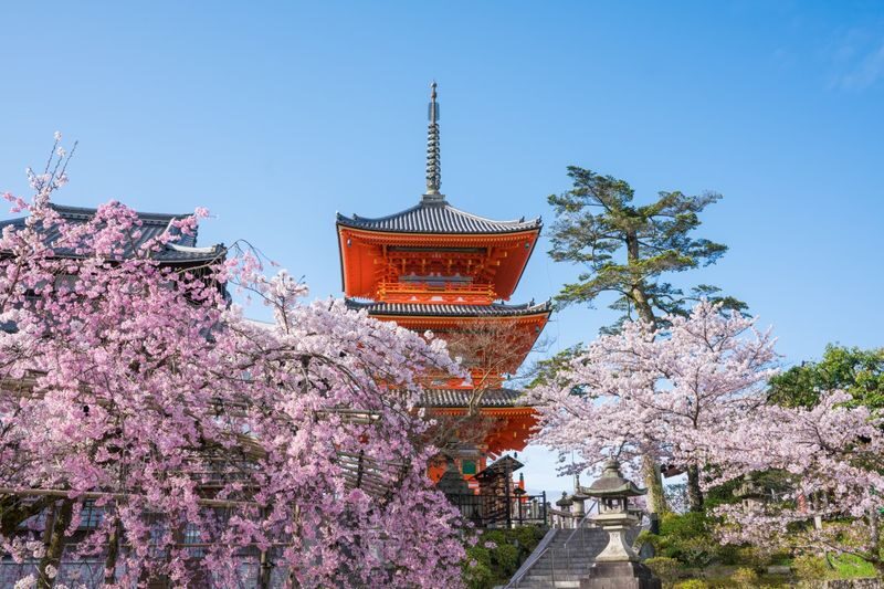 Kyoto & Uji World Heritage One-Day Tour: Kinkaku-ji Temple & Kiyomizu-dera Temple & Byodo-in Temple & Uji Matcha Food Street (Departing from Osaka or Kyoto) - What the guide adds, and what remains your job