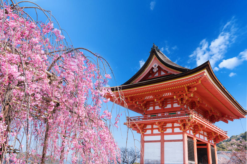 Kyoto & Uji World Heritage One-Day Tour: Kinkaku-ji Temple & Kiyomizu-dera Temple & Byodo-in Temple & Uji Matcha Food Street (Departing from Osaka or Kyoto) - Is the price good value?