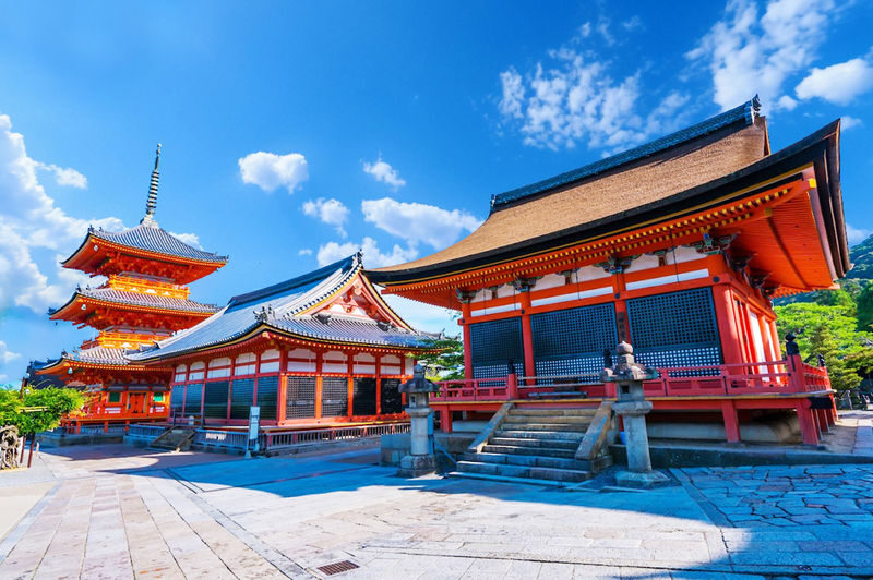 Kyoto & Uji World Heritage One-Day Tour: Kinkaku-ji Temple & Kiyomizu-dera Temple & Byodo-in Temple & Uji Matcha Food Street (Departing from Osaka or Kyoto) - The pace, comfort and practical limits
