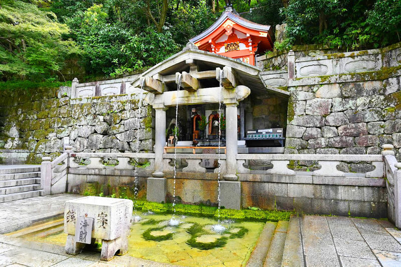 Kyoto & Uji World Heritage One-Day Tour: Kinkaku-ji Temple & Kiyomizu-dera Temple & Byodo-in Temple & Uji Matcha Food Street (Departing from Osaka or Kyoto) - Who should book this Kyoto day trip?
