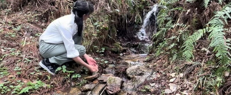 Kyoto: Visit Mario Papa's hometown and great lunch - Practical Tips for Participants