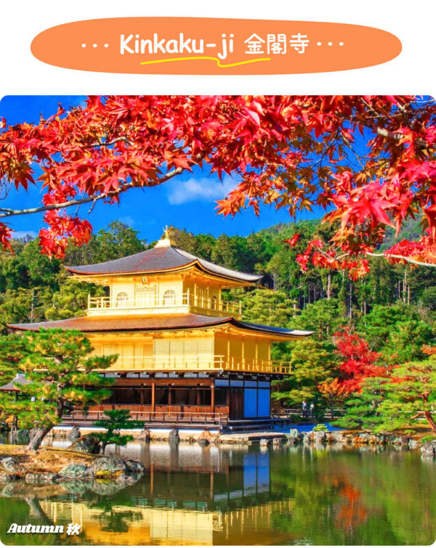 Kyoto Wafuu Journey: Kinkaku-ji & Kiyomizu-dera & Fushimi Inari-taisha Day Trip | Departure from Osaka/Kyoto - Fushimi Inari: choose your distance beneath the torii