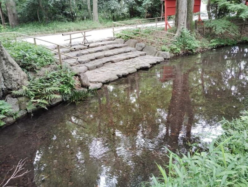 Kyoto: Walk Through History in Shimogamos Sacred Woods - In-Depth Look at the Experience