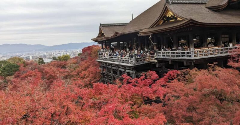 Kyoto: Walking tour Kiyomizu, Geisha District with a Local - Practical Tips for Participants