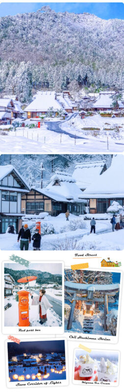 Kyoto Winter Illumination Tour - Ine Funaya & Amanohashidate & Miyama Thatched Village Winter Lantern Corridor (Including Special Experience) Day Trip (Departing from Osaka) - What the price covers, and what it does not