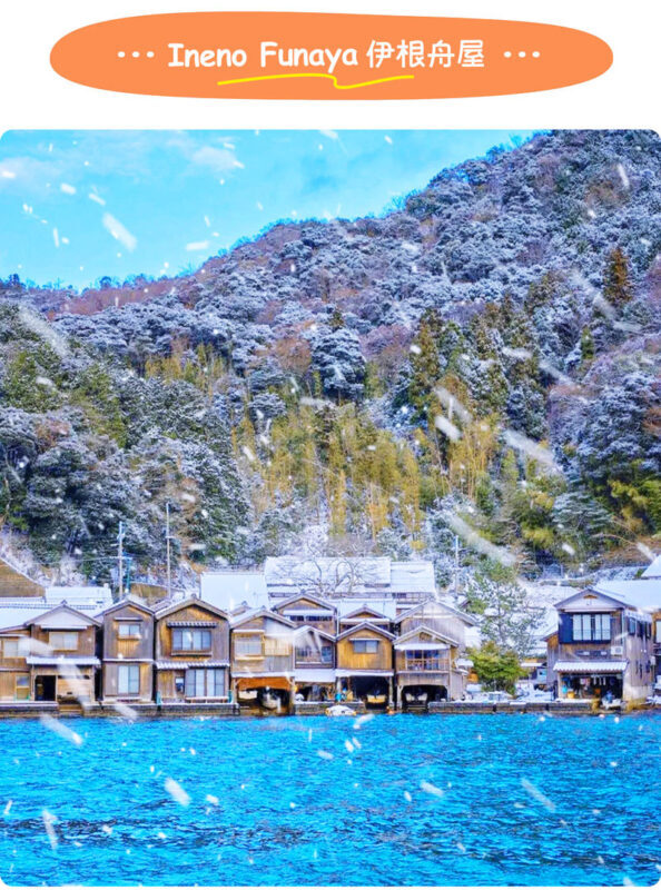 Kyoto Winter Illumination Tour - Ine Funaya & Amanohashidate & Miyama Thatched Village Winter Lantern Corridor (Including Special Experience) Day Trip (Departing from Osaka) - Should you book it?