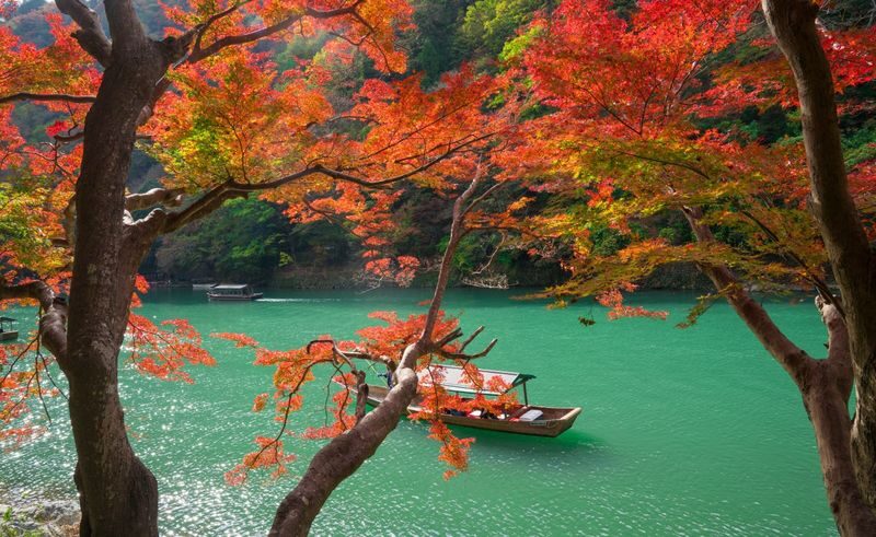 Kyoto World Heritage and Popular Attractions Day Trip: Nijo Castle & Kinkaku-ji (Golden Pavilion) & Fushimi Inari-taisha Shrines Thousand Torii Gates & Arashiyama Togetsukyo Bridge & Kimono Forest & Bamboo Grove (Departure from Osaka or Kyoto) - Practical details before you go