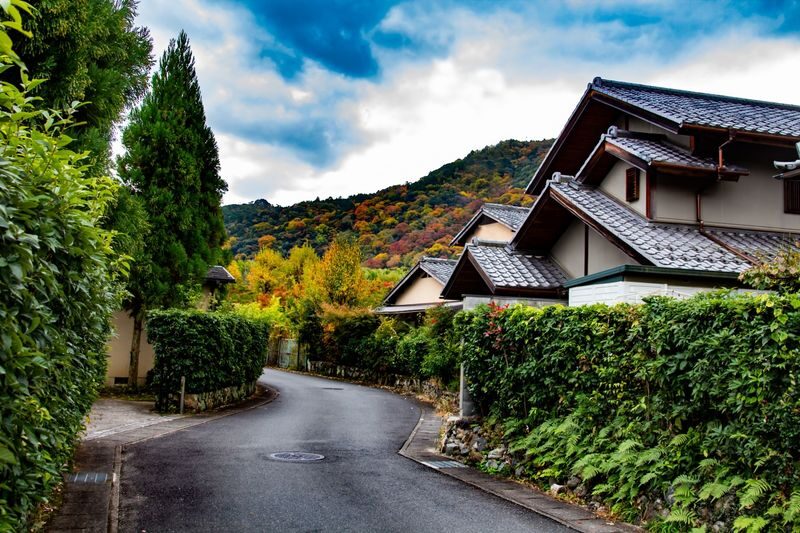 Kyoto World Heritage and Popular Attractions Day Trip: Nijo Castle & Kinkaku-ji (Golden Pavilion) & Fushimi Inari-taisha Shrines Thousand Torii Gates & Arashiyama Togetsukyo Bridge & Kimono Forest & Bamboo Grove (Departure from Osaka or Kyoto) - Should you book this Kyoto day trip?