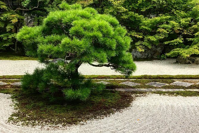 Kyoto: Zen Garden, Zen Mind (Private) - A Closer Look at the Itinerary and Experience
