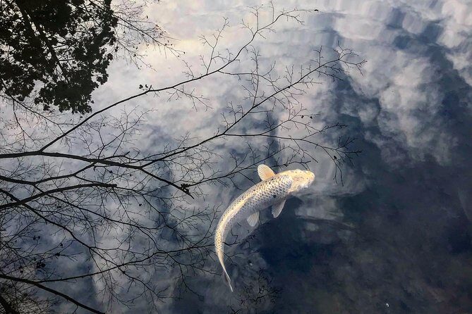 Kyoto: Zen Garden, Zen Mind (Private) - Authenticity and Cultural Insight