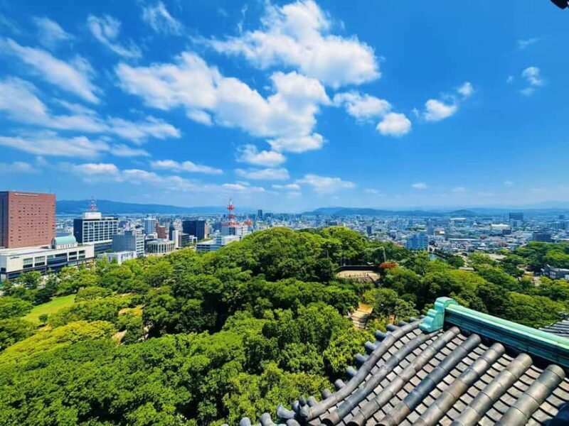 Kyoto:Kimono Tea Ceremony Experiencw Tour - A Deep Dive into the Kyoto Kimono Tea Ceremony Tour