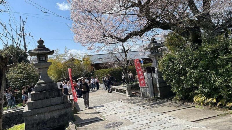 Kyoto:Philosophers Path Seasonal Walk - An Overview of the Experience