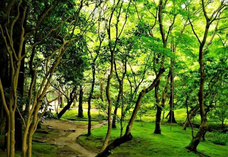 Kyoto:Philosophers Path Seasonal Walk - Price and Value Analysis