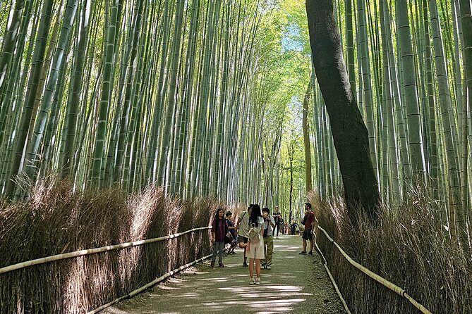Kyoto's Arashiyama Bamboo Grove: 3-Hour Guided Tour - Exploring Kyoto’s Arashiyama Bamboo Grove: 3-Hour Guided Tour