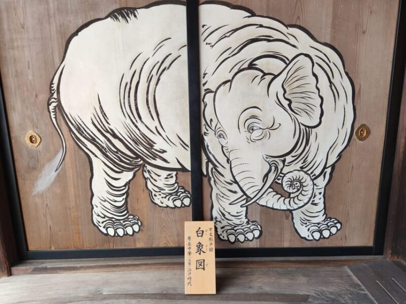 Kyoto's Cherry Blossom Beauty: A 4-Hour Sakura Stroll - Kyotos Cherry Blossom Beauty: A 4-Hour Sakura Stroll