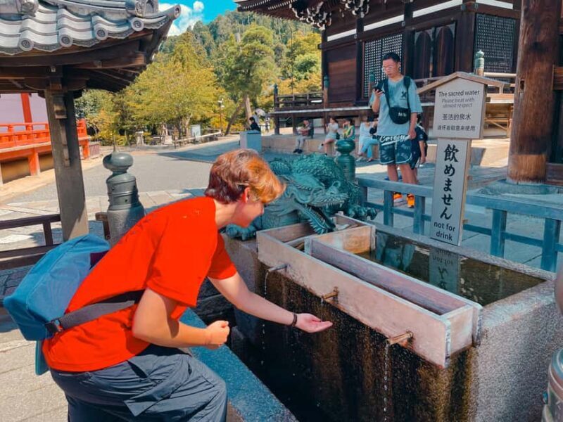 Kyoto's Soul: Gion & Kiyomizudera Historical Walking Tour - The Sum Up