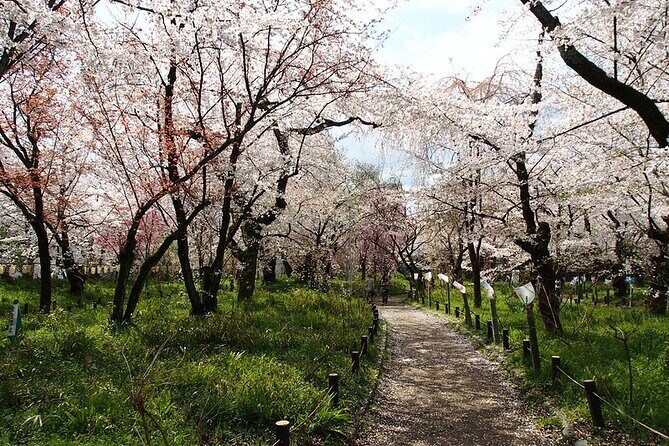 Kyoto's World Heritage Walking Tour from Kyoto st. - A Detailed Look at the Kyoto World Heritage Walking Tour