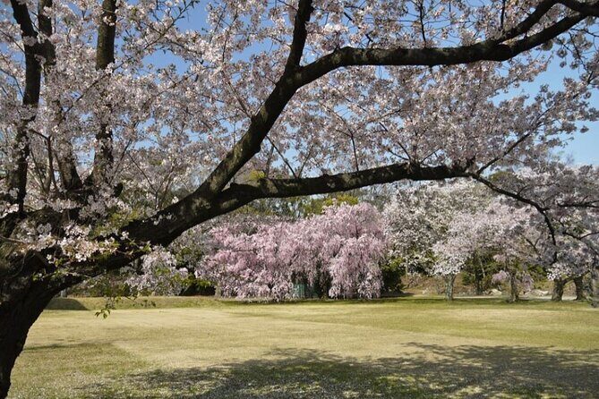 Kyoto's World Heritage Walking Tour from Kyoto st. - Final Thoughts