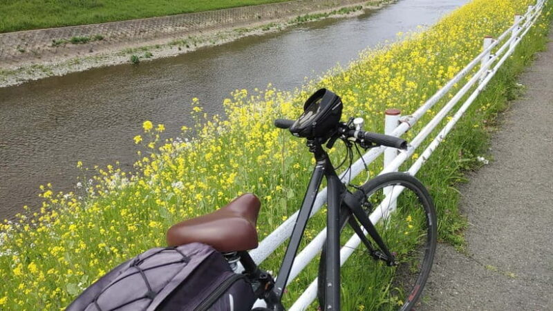 Kyoto:Three Gardens Bike Tour - Key Points