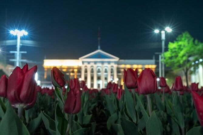 Kyrgyz Family Dinner: Meet, Eat, and Talk - Who Should Consider This Tour?