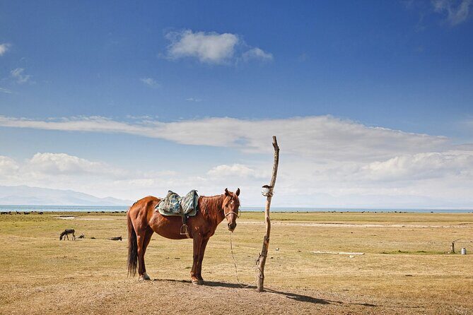 Kyrgyzstan Highland Lakes and Yurt Camps Adventure Trip - FAQ