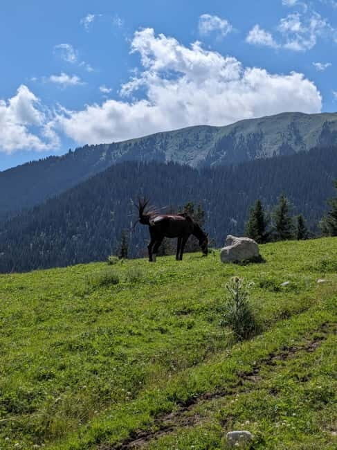 Kyrgyzstan: Pearl of the Heavenly Mountains - A Closer Look at the Kyrgyzstan Tour