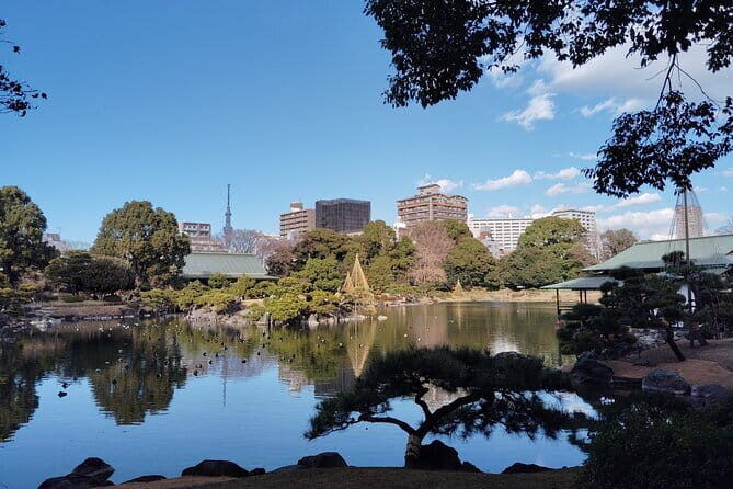 Kyu-Yasuda, Kiyosumi and Hama-Rikyu Tokyo Garden Tour - Final Thoughts: Why You Should Consider the Kyu-Yasuda, Kiyosumi, and Hama-Rikyu Garden Tour