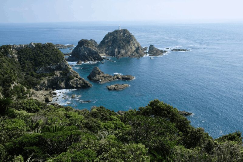 Kyushu 9-hour chartered day trip Kagoshima - Why This Tour Offers Great Value