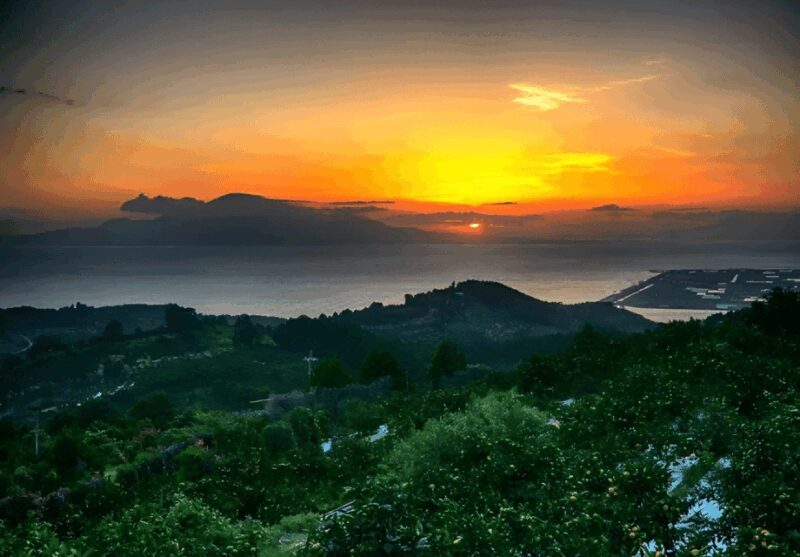 Kyushu 9-hour chartered day trip Kumamoto - Key Points