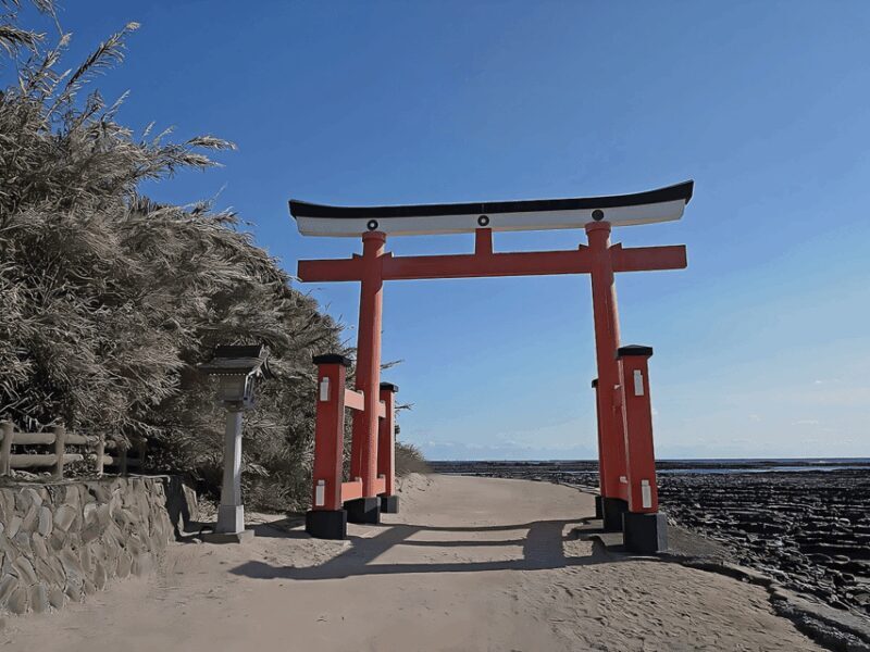 Kyushu 9-hour chartered day trip Miyazaki - Exploring Miyazaki: An Authentic 9-Hour Experience