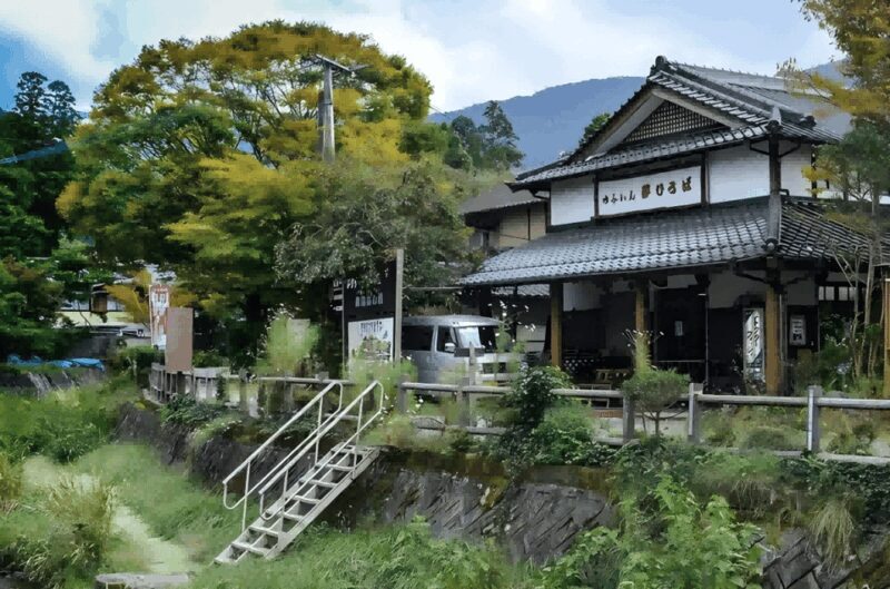 Kyushu 9-hour chartered day trip Oita - Why This Tour Stands Out