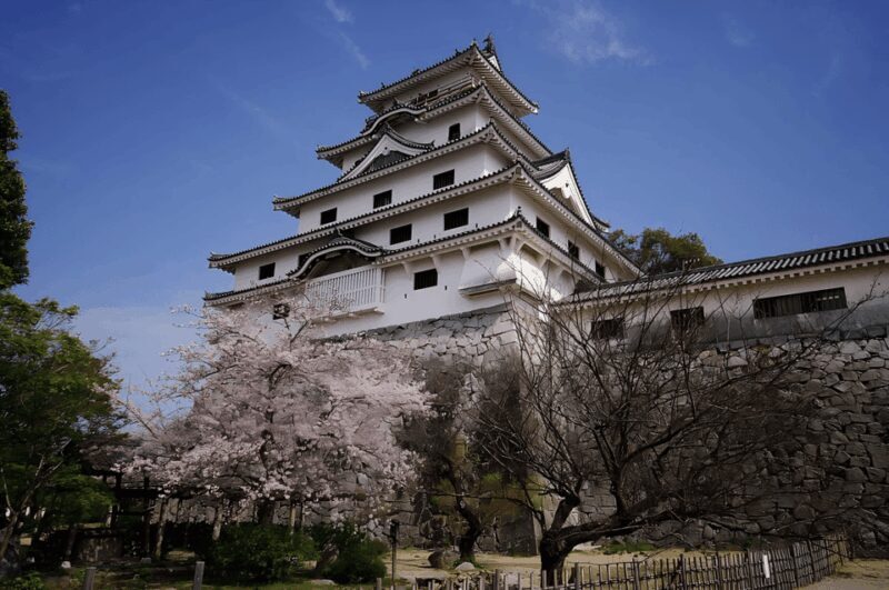 Kyushu 9-hour chartered day trip Saga - A Deep Dive into the Saga 9-Hour Charter Experience