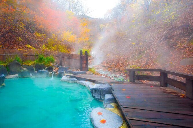 Kyushu Aso Volcano Kusasenri Kurokawa Onsen Day Tour from Fukuoka - Introduction: What’s on Offer