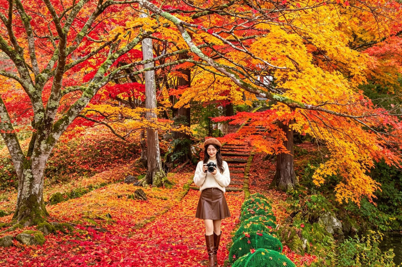 Kyushu Autumn Foliage Limited | Yufuin & Umi Jigoku & Yabakei & Kamado Shrine Day Tour - A four-stop autumn day from Hakata