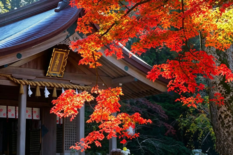 Kyushu Autumn Foliage Limited | Yufuin & Umi Jigoku & Yabakei & Kamado Shrine Day Tour - Yufuin: two and a half hours to wander