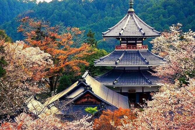 Kyushu Beppu Six Scenic Spots One Day Tour - Final Thoughts