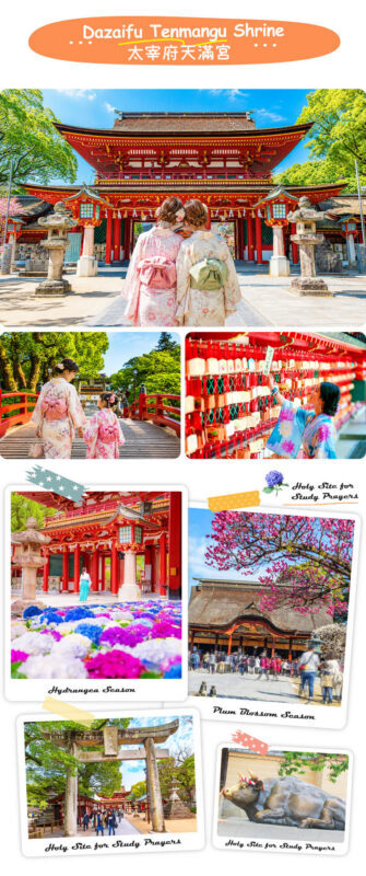 Kyushu Culture and Nature Tour: Dazaifu Kimono Experience / Strawberry Picking-Yanagawa River Cruise-Tosu Premium Outlets Seasonal Limited Itinerary (Departing from Fukuoka) - A few practical points before setting out