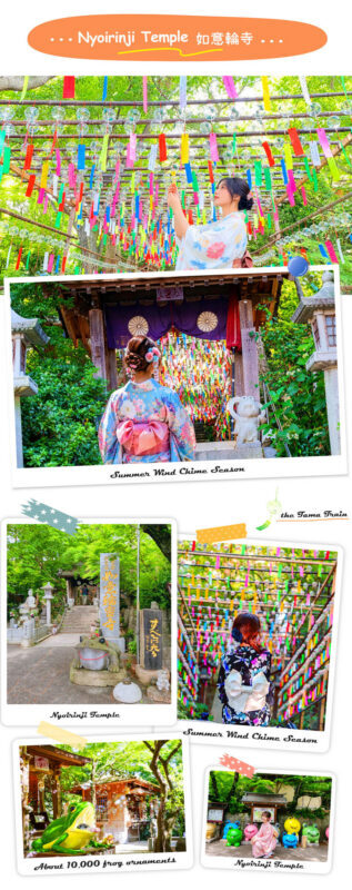 Kyushu Culture and Nature Tour: Dazaifu Kimono Experience / Strawberry Picking-Yanagawa River Cruise-Tosu Premium Outlets Seasonal Limited Itinerary (Departing from Fukuoka) - Should you book this Fukuoka day trip?