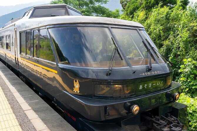 Kyushu Day Tour:Aso Boy Scenic Train, Aso Volcano,Kumamoto Castle - The Sum Up: Who Should Consider This Tour?