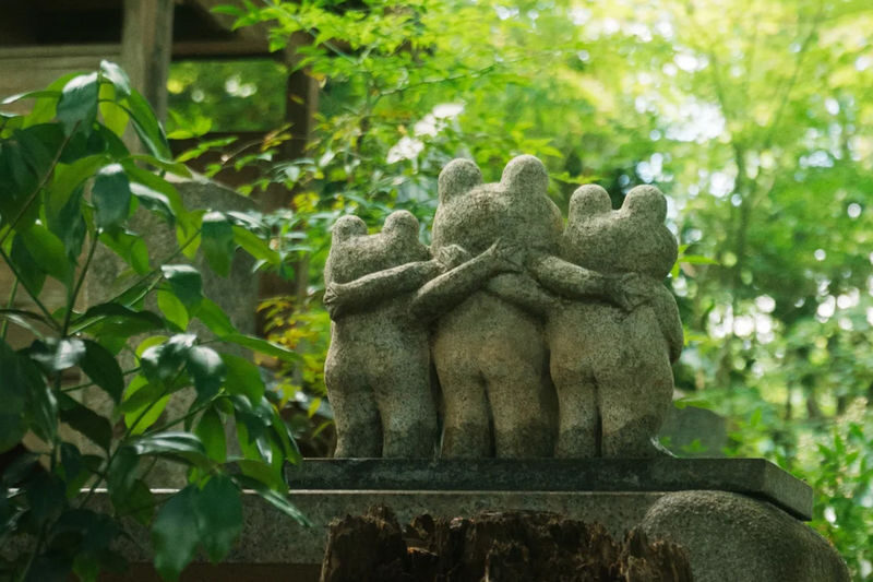 Kyushu Fukuoka Classic Day Tour | Nyoirin-ji Temple & Mt. Yufu & Yufuin & Kinrin Lake & Umi Jigoku (Sea Hell) & Kamado Jigoku (Oven Hell) Day Tour (Chinese and English Tour Guides / Departure from Fukuoka) - Is the $44.25 starting price good value?