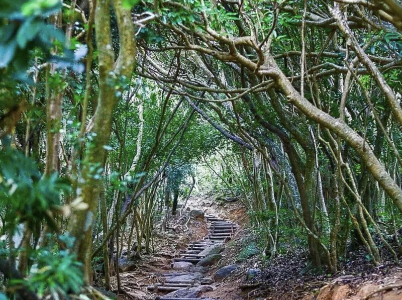 Kyushu Fukuoka Itoshima customized itinerary chartered car day trip/multi-day trip: Shiraito Falls, Sakurai Futamiura Couple Rocks, Sakurai Shrine, Dazaifu Tenmangu Shrine, Nanzoin Temple - Dazaifu and Nanzoin deserve their own focus