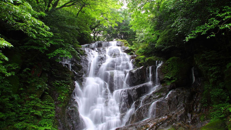 Kyushu Fukuoka Itoshima customized itinerary chartered car day trip/multi-day trip: Shiraito Falls, Sakurai Futamiura Couple Rocks, Sakurai Shrine, Dazaifu Tenmangu Shrine, Nanzoin Temple - The driver’s advice can make the day work better