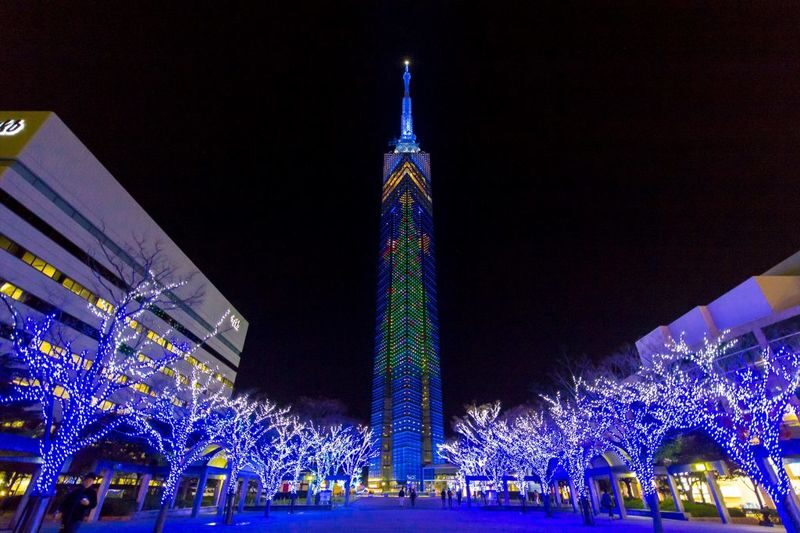 Kyushu Fukuoka Private Car Charter Day Tour - The price makes most sense for a group